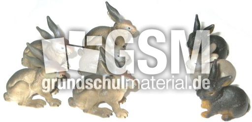 Hasen5+3.jpg